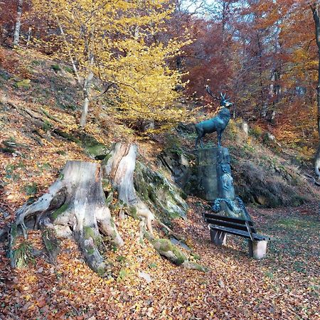 Haus Anastasia Διαμέρισμα Stolberg i. Harz Εξωτερικό φωτογραφία